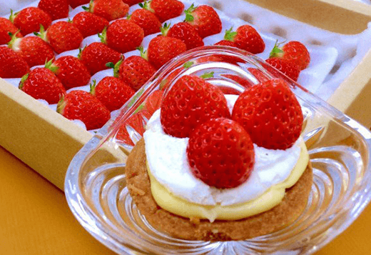 いちごタルト 写真