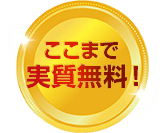 ここまで実質無料!